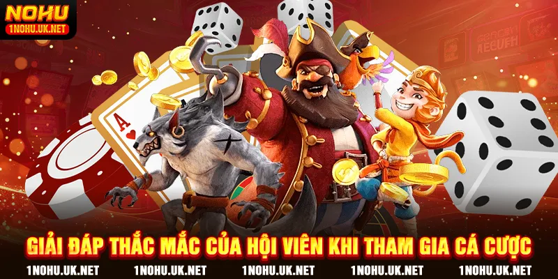 Giải đáp thắc mắc của hội viên khi tham gia cá cược